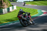 cadwell-no-limits-trackday;cadwell-park;cadwell-park-photographs;cadwell-trackday-photographs;enduro-digital-images;event-digital-images;eventdigitalimages;no-limits-trackdays;peter-wileman-photography;racing-digital-images;trackday-digital-images;trackday-photos